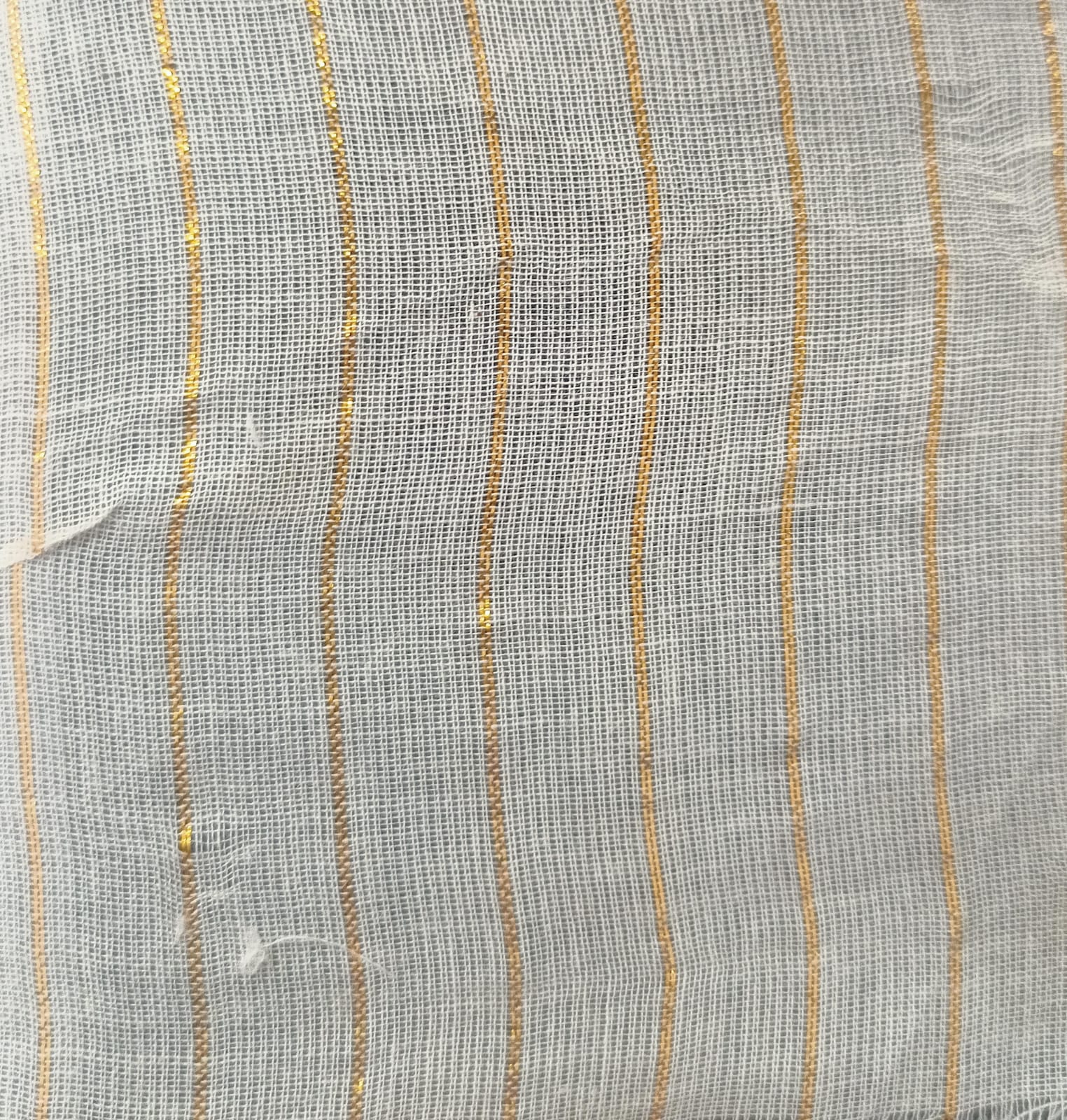 COTTON LUREX VOILE 80*72  GOLD