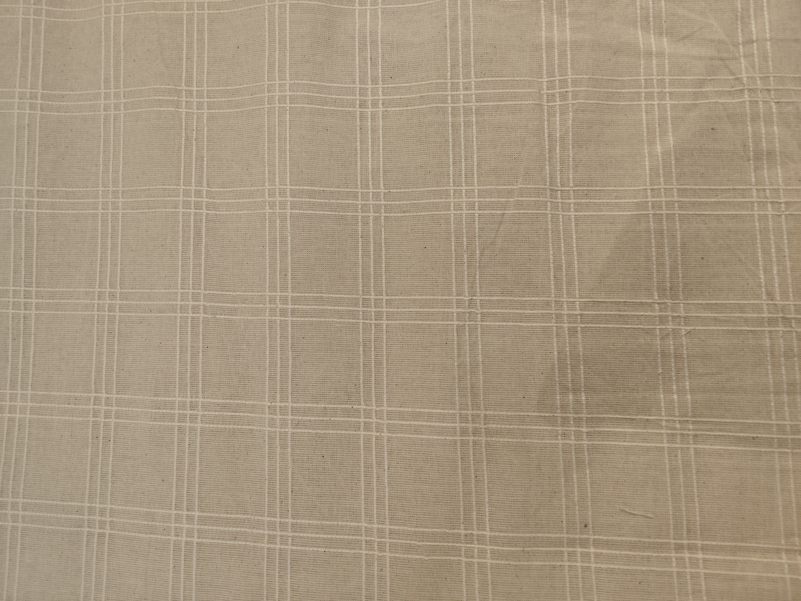 COTTON CHECK