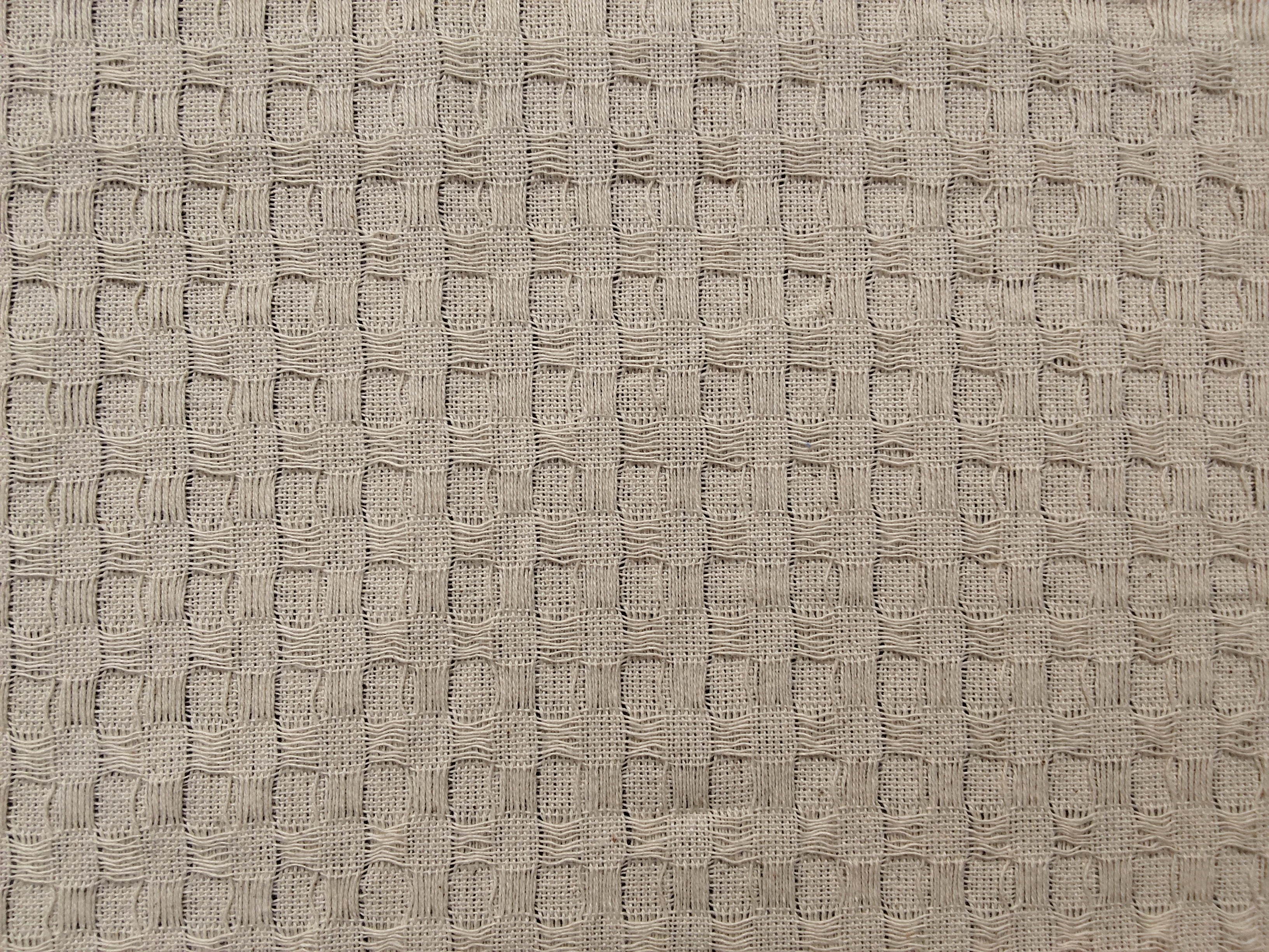 COTTON CHECK