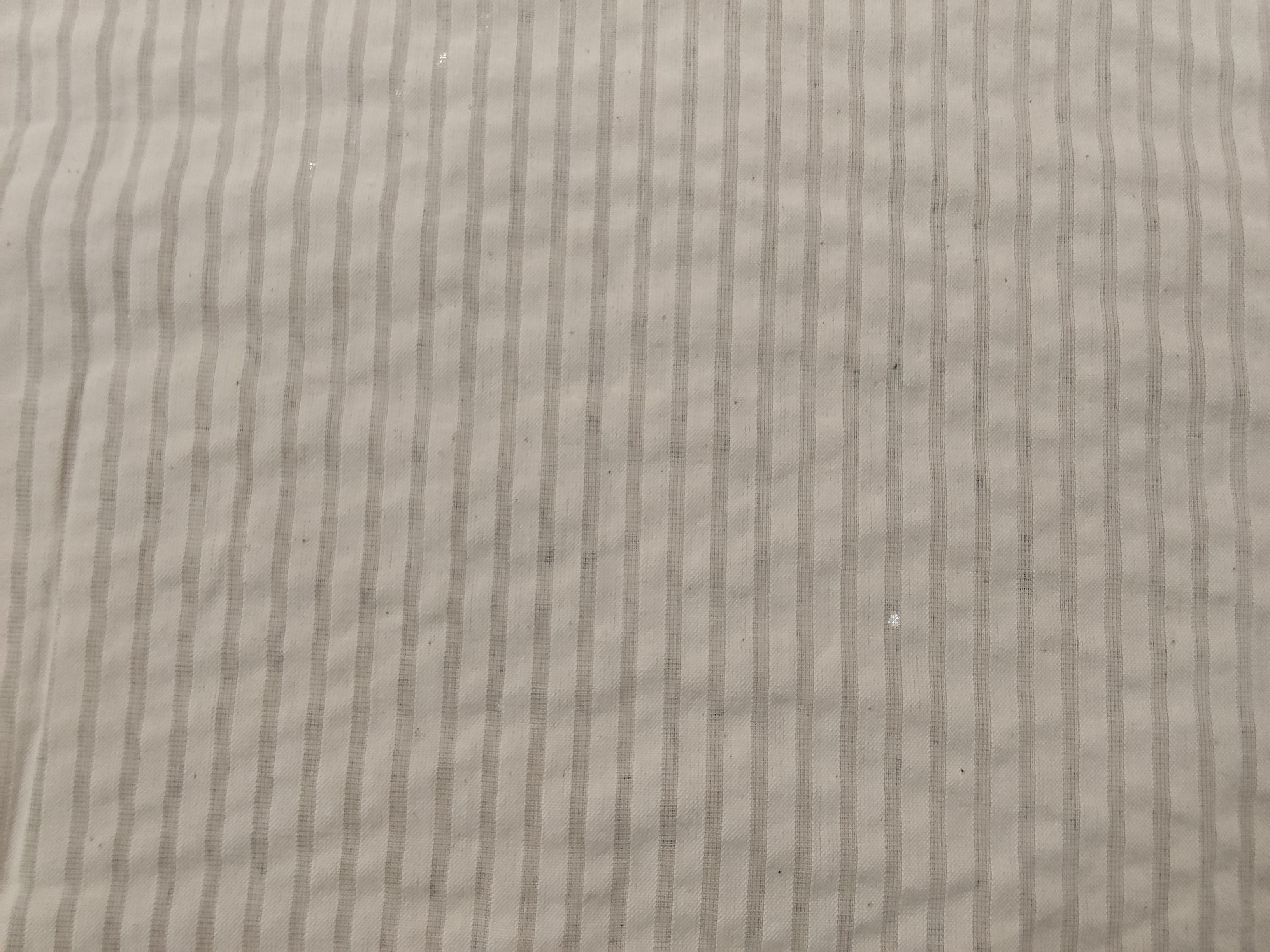 COTTON STRIPE S.S