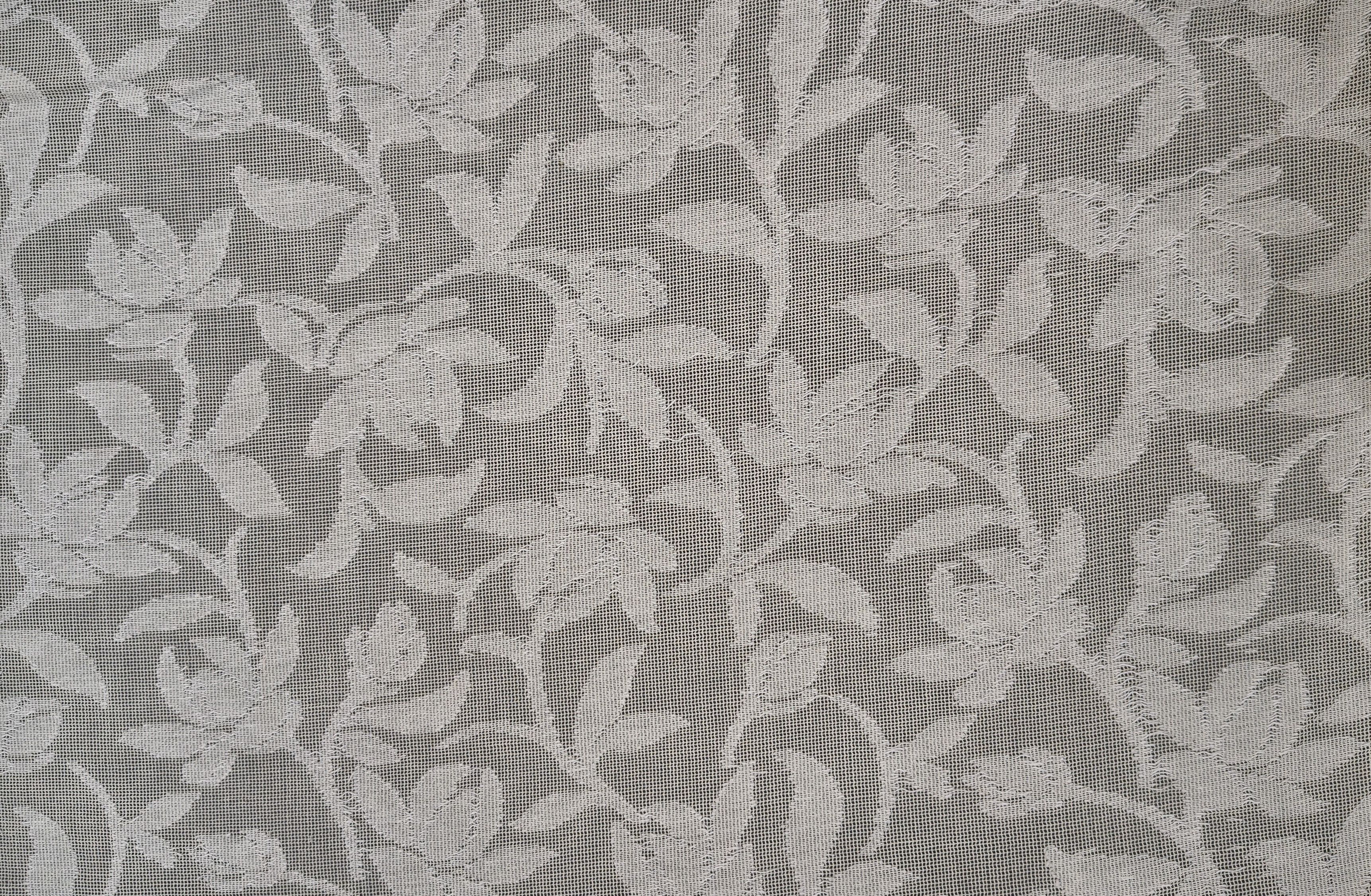 Cotton Net jacquard