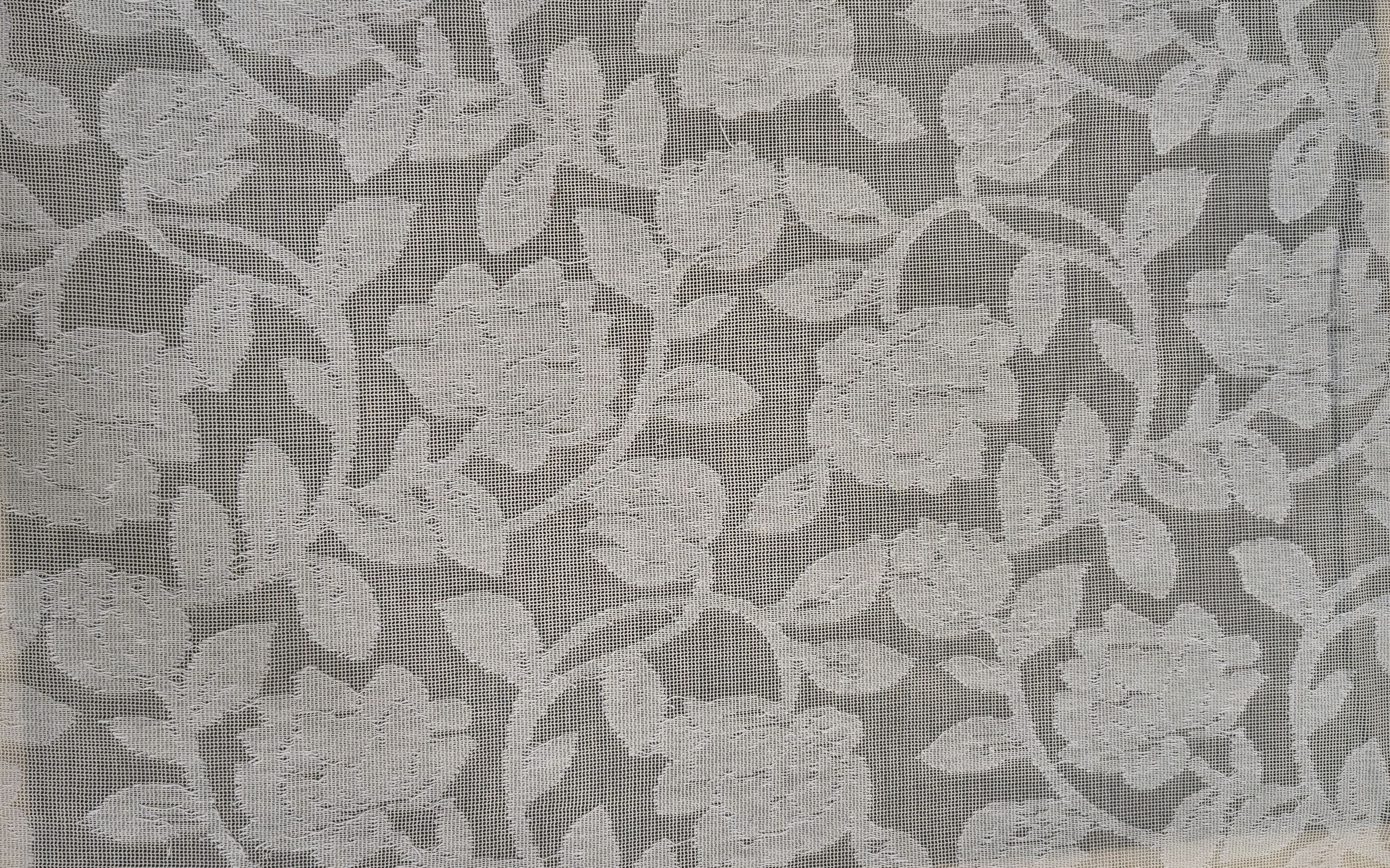 Cotton Net jacquard