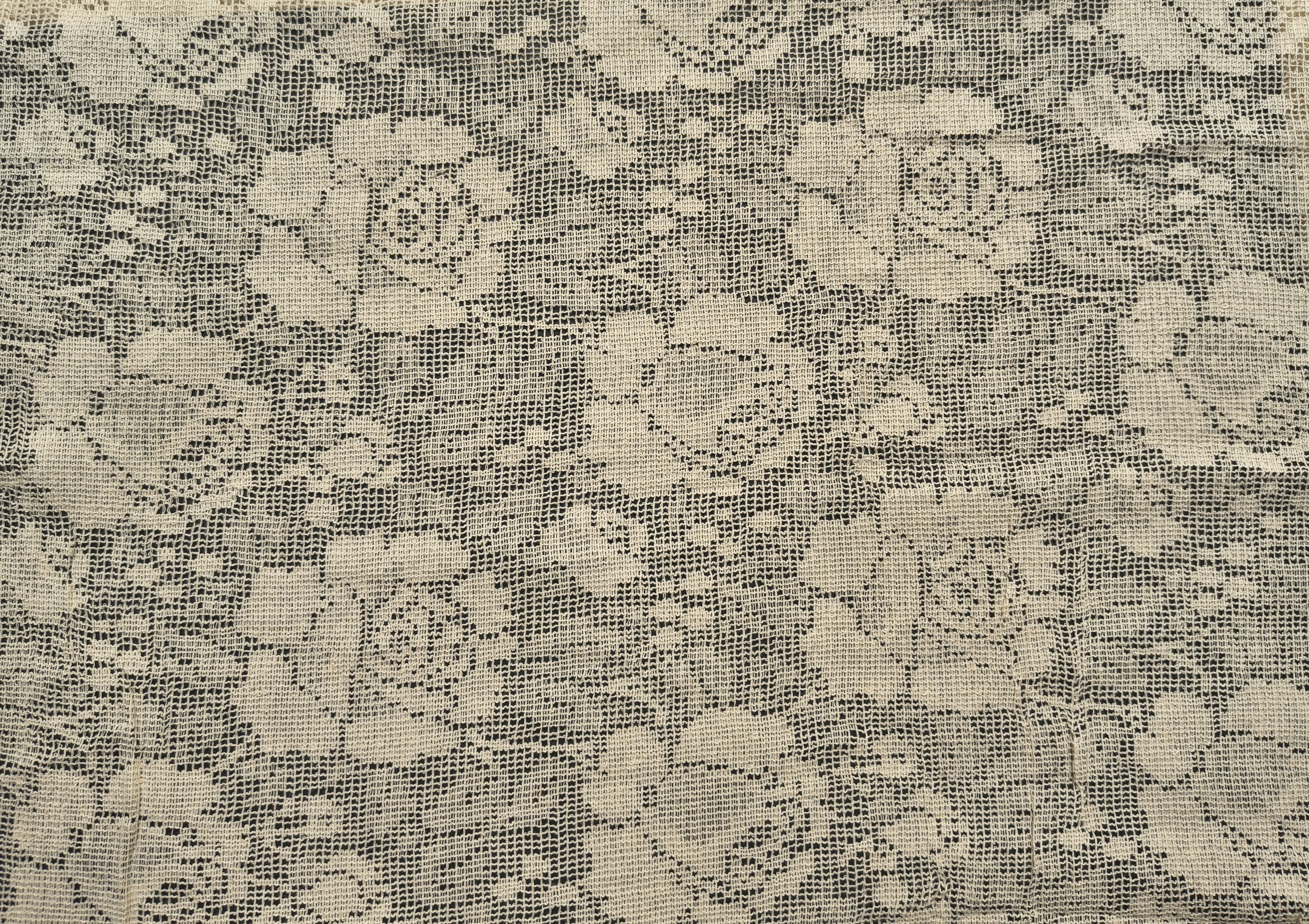 Cotton Net jacquard