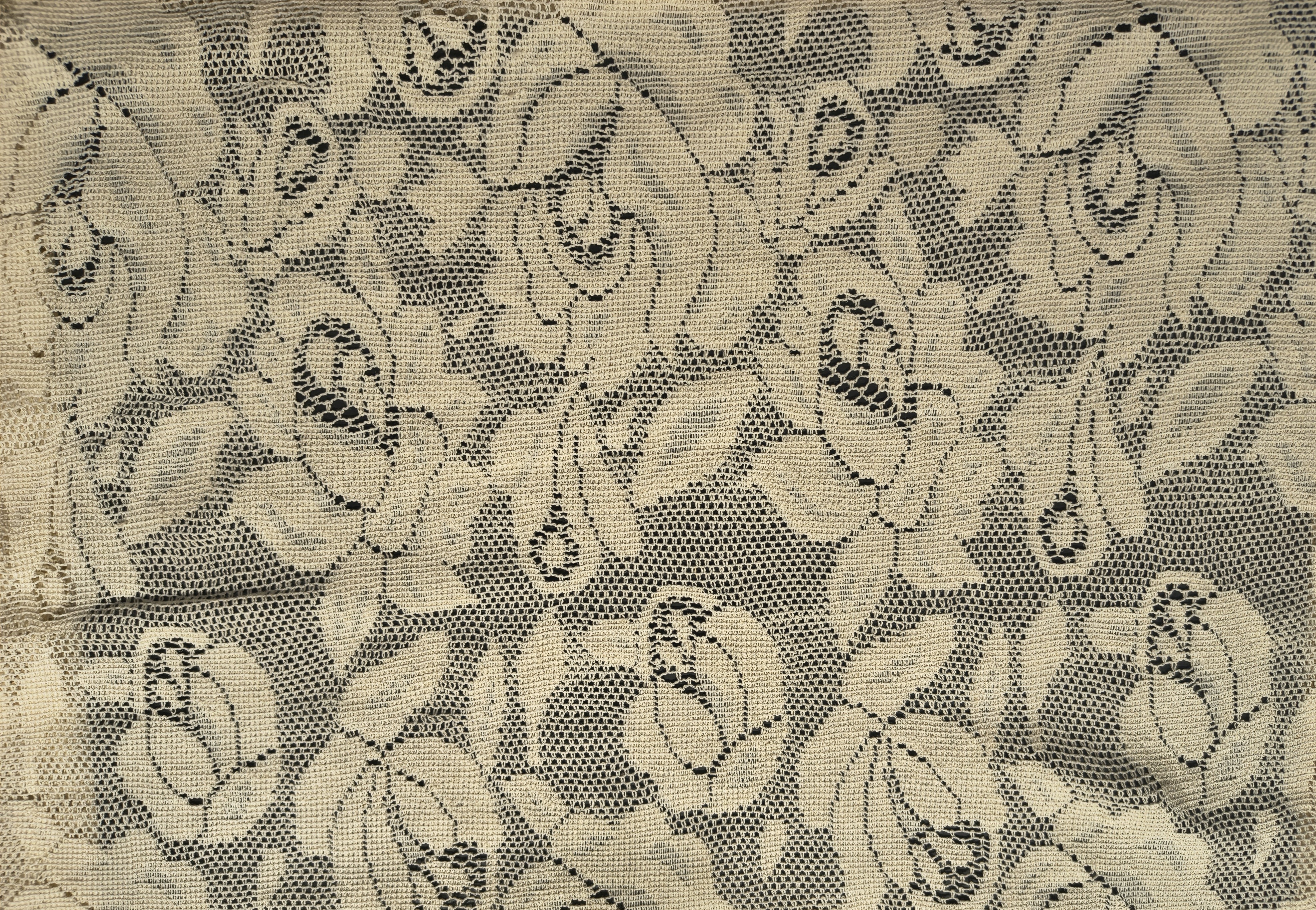 Cotton Net jacquard