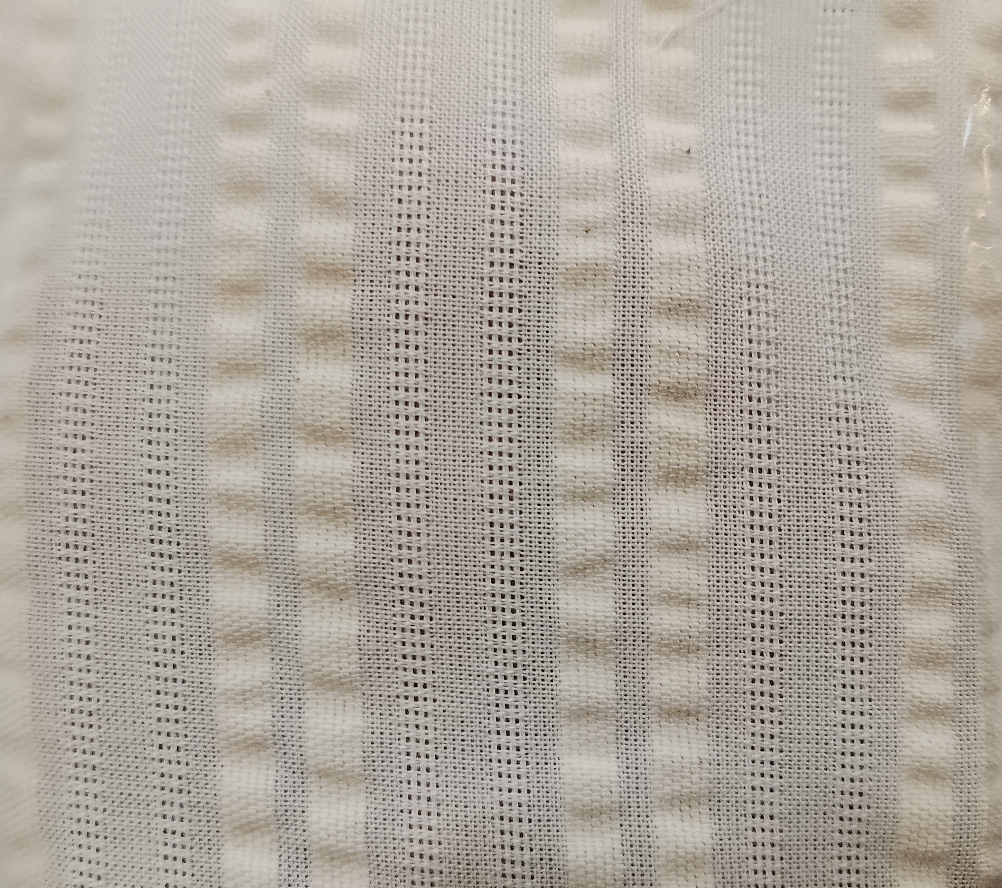 COTTON LINO